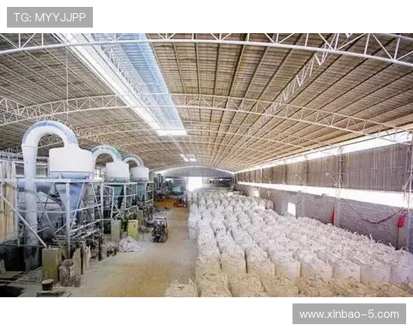 全面解析盈丰国际:行业地位与未来发展前景 全面解析盈丰国际:行业地位与未来发展前景